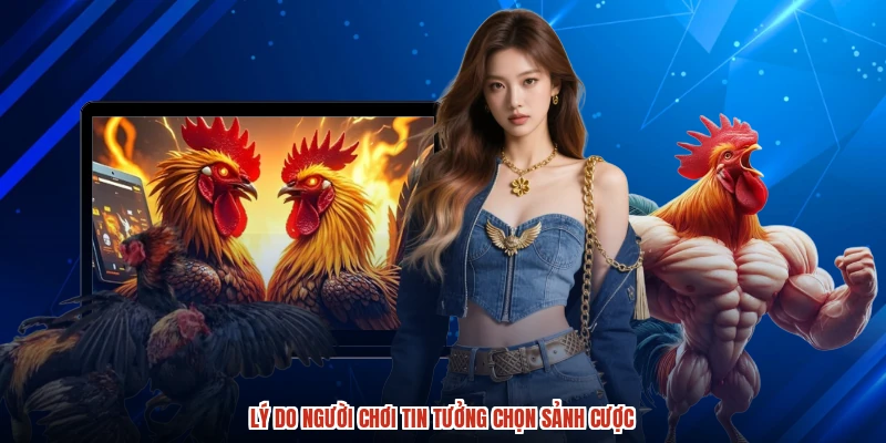 Lý do người chơi tin tưởng chọn sảnh cược